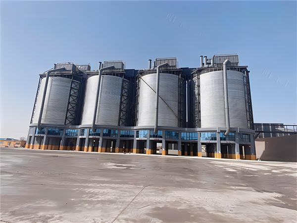 大型鋼板倉建造施工造價分析與優(yōu)化策略